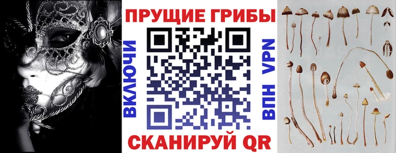 Галлюциногенные грибы Psilocybe Купить где Элиста